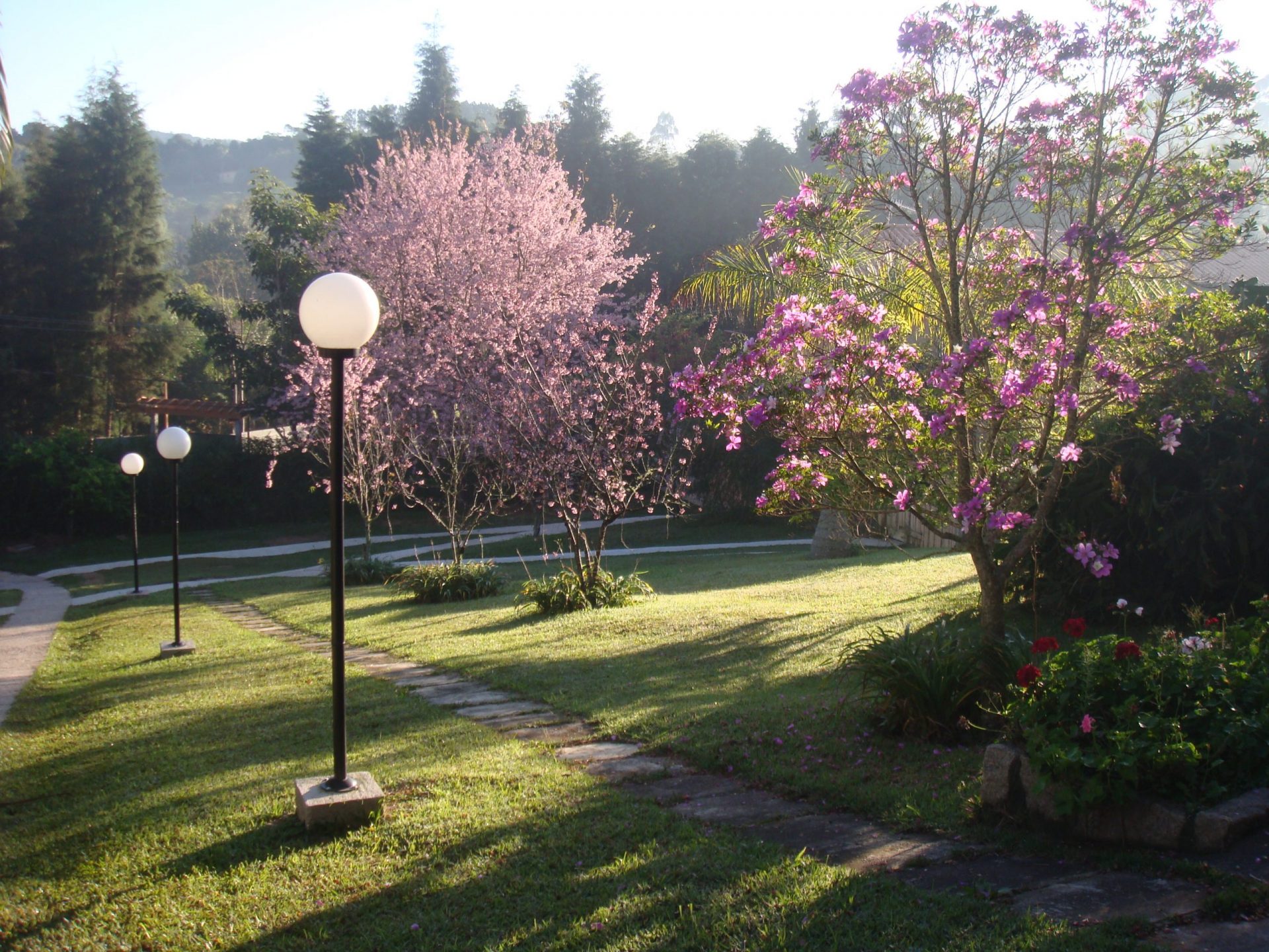 Jardim florido ao entardecer com ipês e flores silvestres
