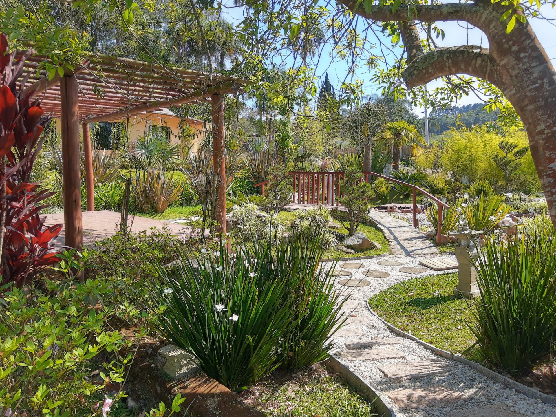 Jardim tropical com pergola e caminho de pedras