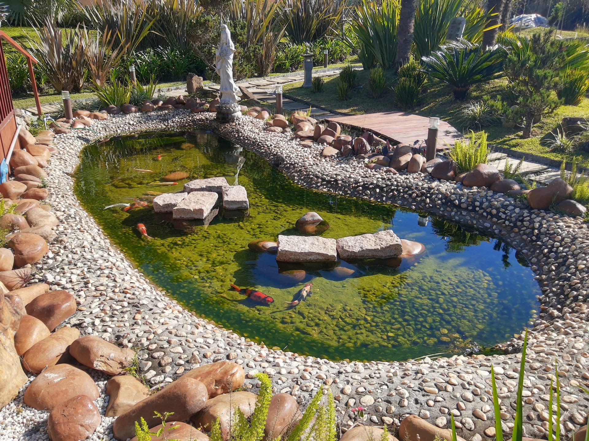 Lago com carpas e fonte no jardim do espaço